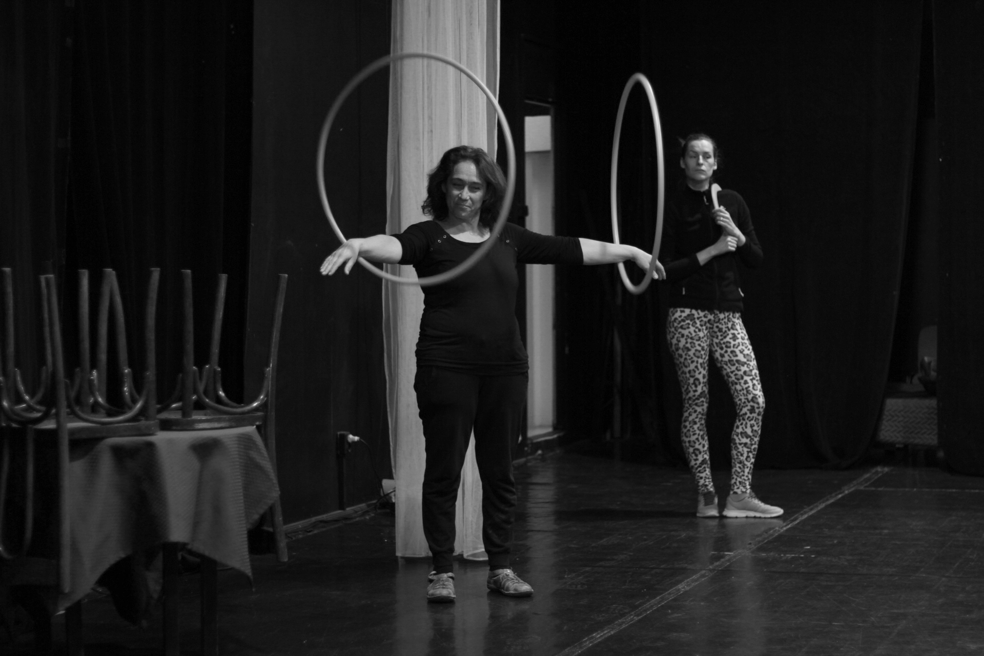 Oroszlánok a Figura porondján