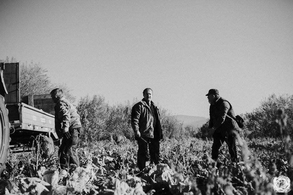 kaposztafesztival2018 1